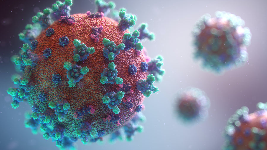 DID YOU KNOW THAT THE CORONAVIRUS WAS FIRST DISCOVERED IN 1965?